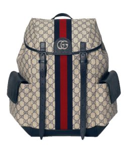 Ophidia GG medium backpack Blue and red Web
